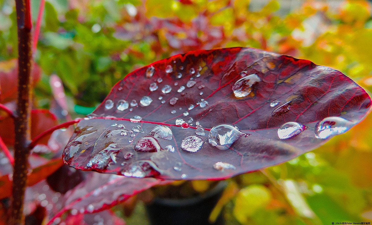 今日雖然維持濕冷但有水氣減少、小幅回溫！ 圖：Flickr提供Peter Stevens開放權限