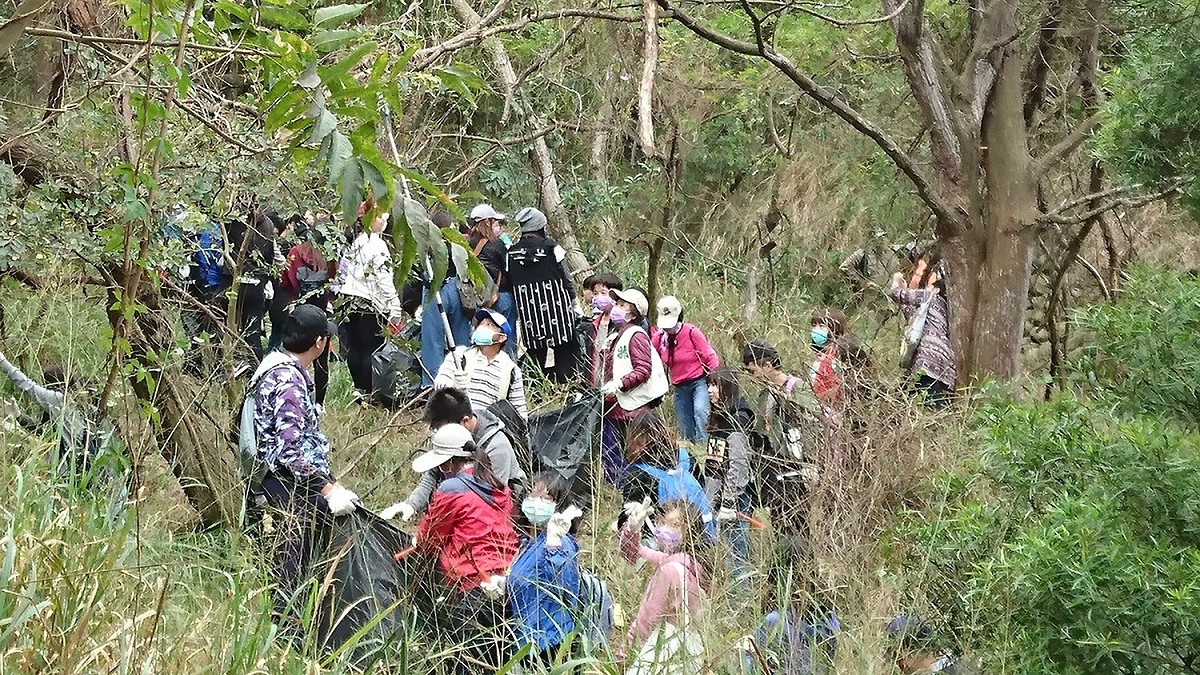 經過監測發現，先前移除的其他場域已有效防止小花蔓澤蘭再度生長。 圖：台中市農業局提供