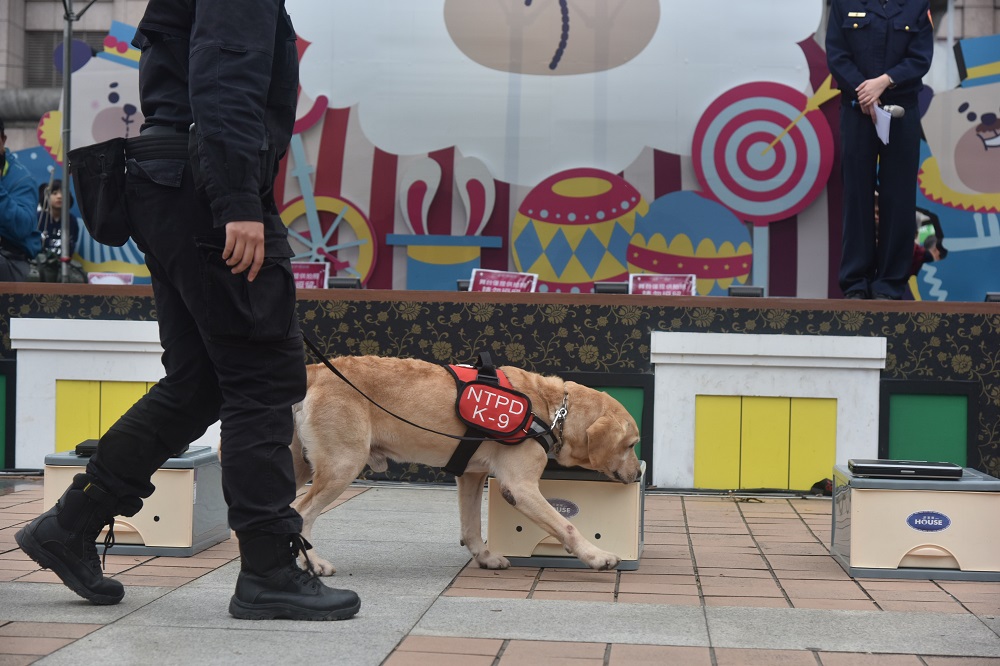警犬們在活動現場展現搜查技能。 圖：新北市政府提供