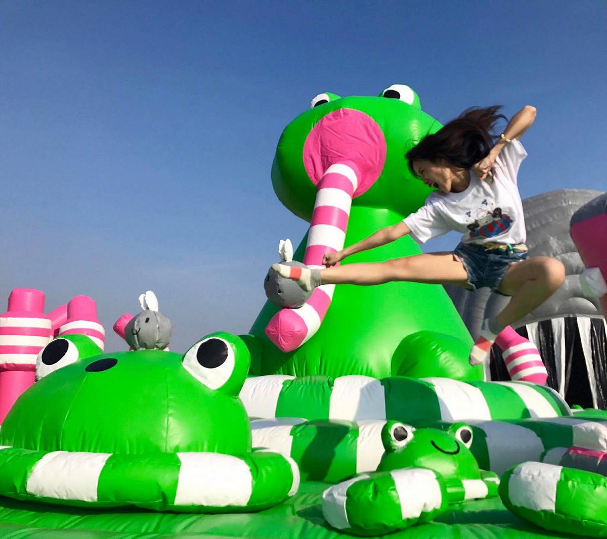 各種高難度是等你來挑戰。圖為「青蛙沼澤」。 圖：《Art-Zoo 藝術動物園》FB提供