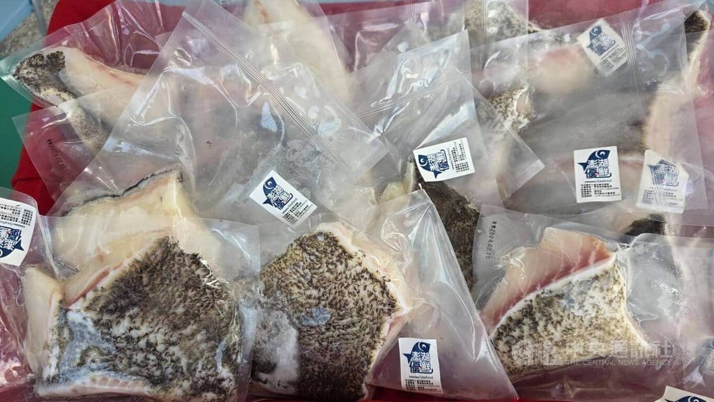 澎湖優質水產進校園，一塊塊處理好「龍虎斑」魚排，令人垂涎。中央社  115年9月16日