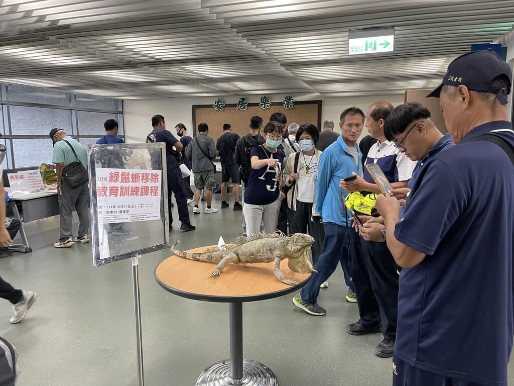 屏東縣政府10月規劃6場綠鬣蜥訓練課程，共750個名額，22日起開放報名，年滿18歲設籍屏東縣民眾皆可報名參加，盼透過專業課程建立正確且安全移除觀念，共同守護屏東生態環境。 圖/屏東縣政府提供