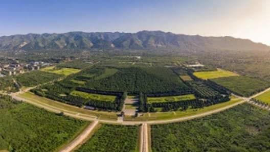 秦始皇陵墓。 圖 : 翻攝自政事兒