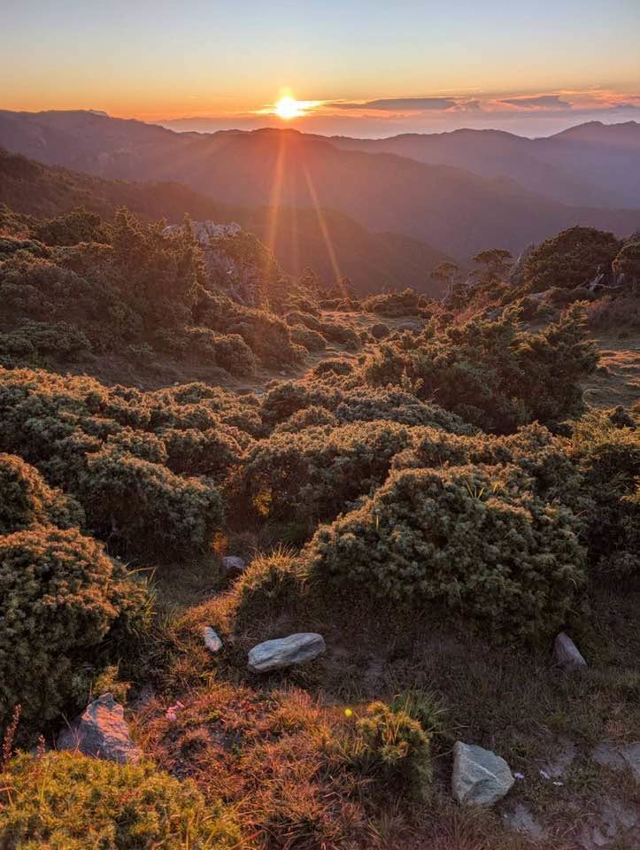 鄭明典分享今晨的日出，只見橘紅色太陽從山巒探出，光線灑落在森林裡，畫面相當壯麗，但表示今天應該是秋老虎的天氣。 圖：取自鄭明典臉書