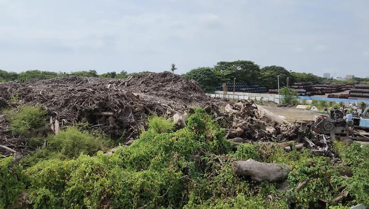 藍營揭發永安堆置廢木材，被高市府稱為「烏龍爆料」，柯志恩表示有關單位轉移焦點。 圖：柯志恩競辦／提供