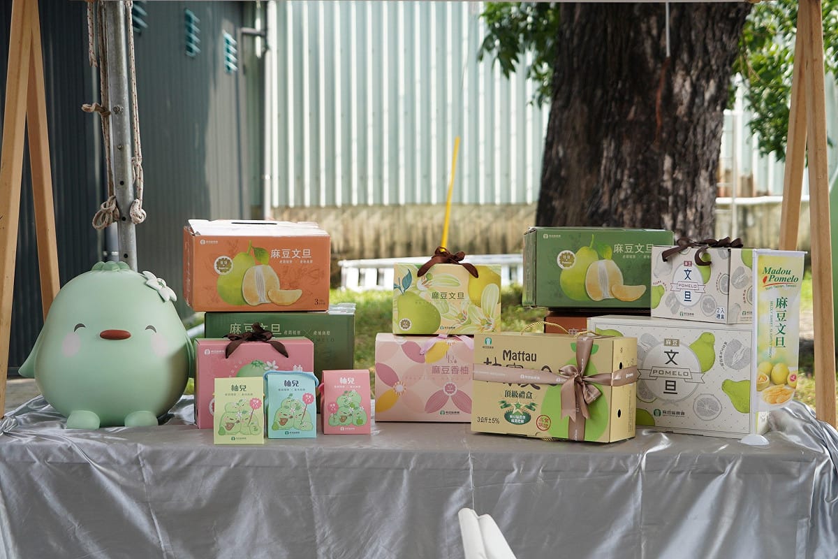 麻豆文旦今年首批30公噸銷往加拿大反應良好，農糧署今(24)日宣布再追加出口1貨櫃。 圖：農業部／提供