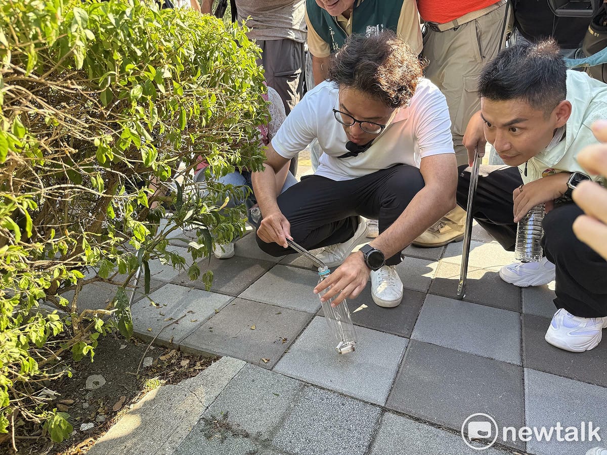民進黨台北市長參選人沈伯洋今出席「台北兒少行動 不落蒂聯盟x衣衣不捨小隊聯合倡議」活動，現場撿煙蒂。 圖：周煊惠 / 攝