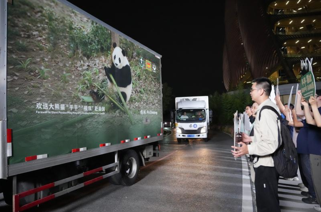 9月26日，搭載大熊貓的車輛駛離成都大熊貓繁育研究基地。 圖:翻攝自新華社