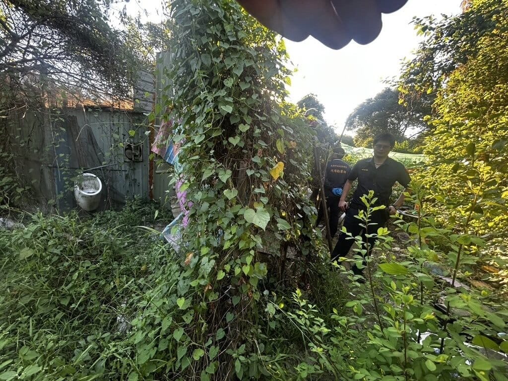 高雄市政府警察局岡山分局29日接獲民眾通報，指橋頭區農場路發現一具遺體，經派員檢視，該具遺體呈乾燥狀態，暫時無法辨認外觀，現場無打鬥痕跡，初步排除外力介入，全案將依法報請橋頭地檢署檢察官相驗。（高雄市政府警察局岡山分局提供）中央社記者張已亷傳真　115年9月29日