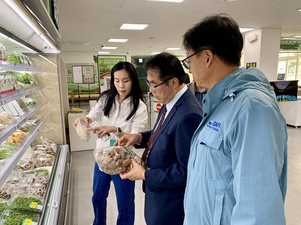 台南市長黃偉哲出訪韓國，首站直奔京畿道農水產振興院，與該單位討論農產品行銷、產品認證及學生營養午餐食材供應等議題，盼透過與韓國地方政府農業單位間的交流，拓展台南與韓國更多元的合作機會。 圖：台南市政府提供