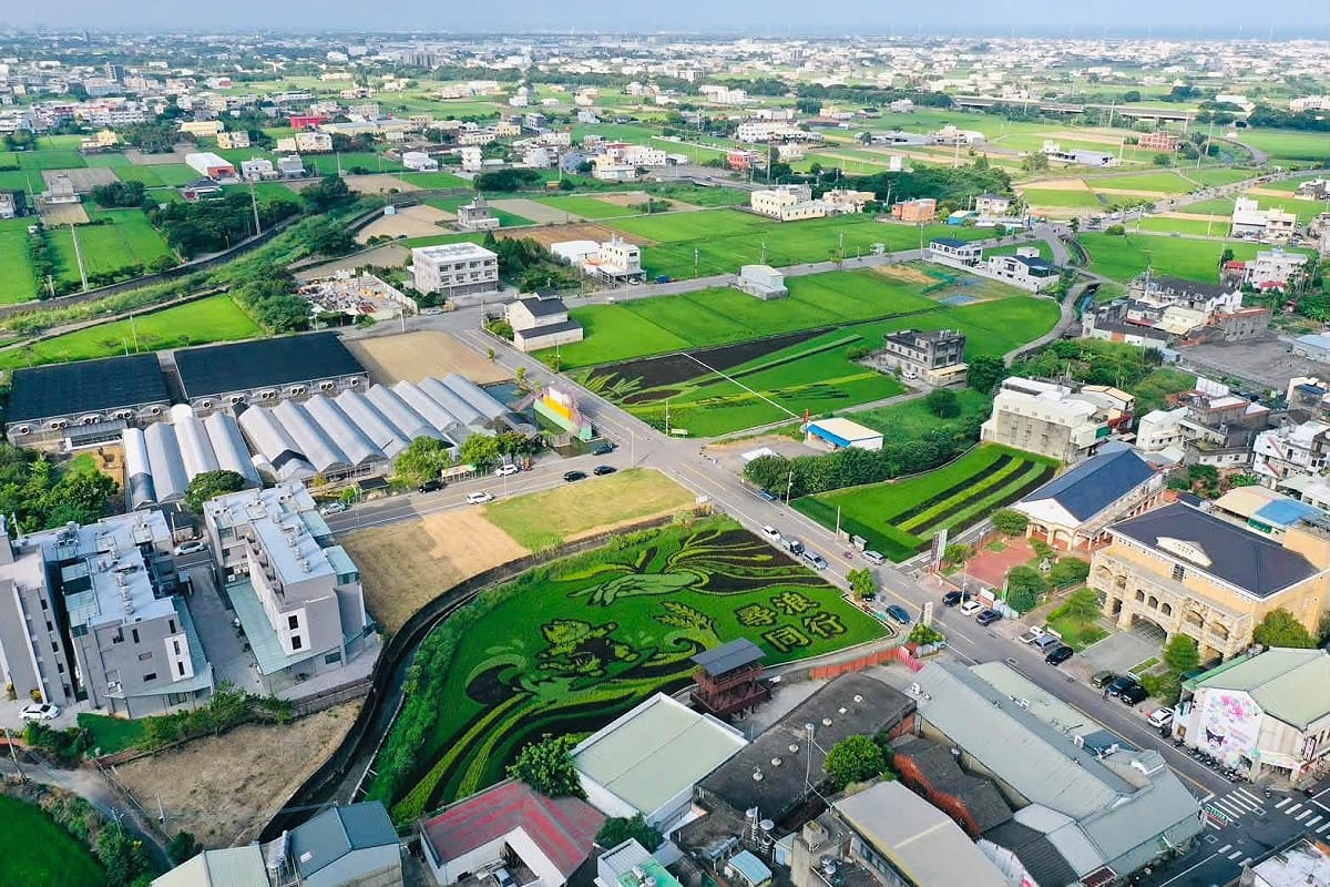苑裡擁有豐富的稻米產業、農村景觀與文化底蘊，「貓裏喵」在稻田裡衝浪尋求媽祖的庇護，展現地方農業、信仰文化與地景藝術交織的特色。 圖：取自苑裡鎮農會臉書