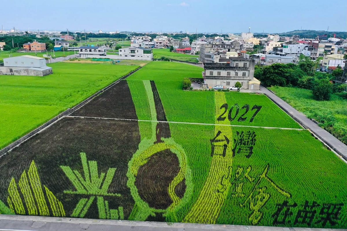 「2027台灣燈會在苗栗」為主題的彩繪稻田。 圖：取自苑裡鎮農會臉書