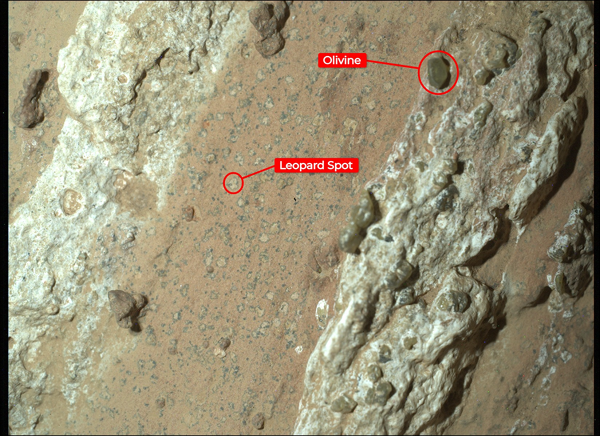 NASA的「毅力號」探測車一塊被命名表面布滿類似豹紋斑點的岩石，科學家認為這些斑點可能是微生物存在的證據。 圖片來源：取自 NASA 官網
