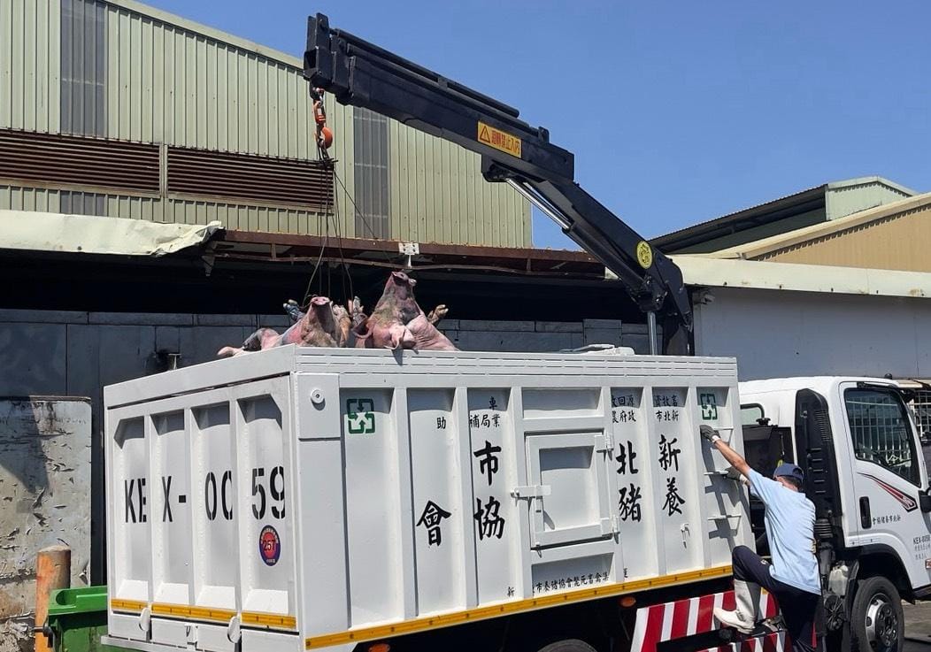 化製車載運斃死畜禽時，確認載運斃死畜禽數量是否正確。 圖：新北動保處／提供