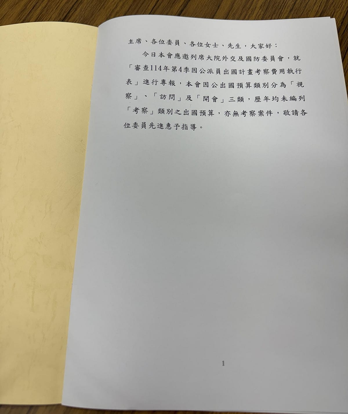 僑委會8頁報告，除了封面，內文只有7行字。 圖：林朝億/翻拍
