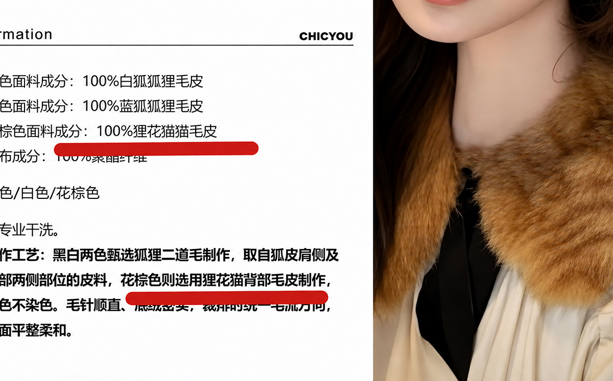 中國女裝竟用貓皮做衣領！胡采蘋哭喊：太崩潰了