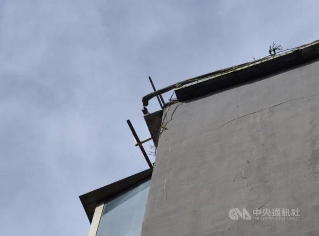 台北市北投區16日發生公寓磁磚掉落傷人意外，建築管理工程處說，獲報後指派專業建築師趕到現場，評估外牆剝落情況、確認是否有持續掉落危險，也已對建物所有權人未盡維護管理責任導致意外開罰新台幣12萬元。（翻攝畫面）中央社記者劉建邦傳真　115年10月16日