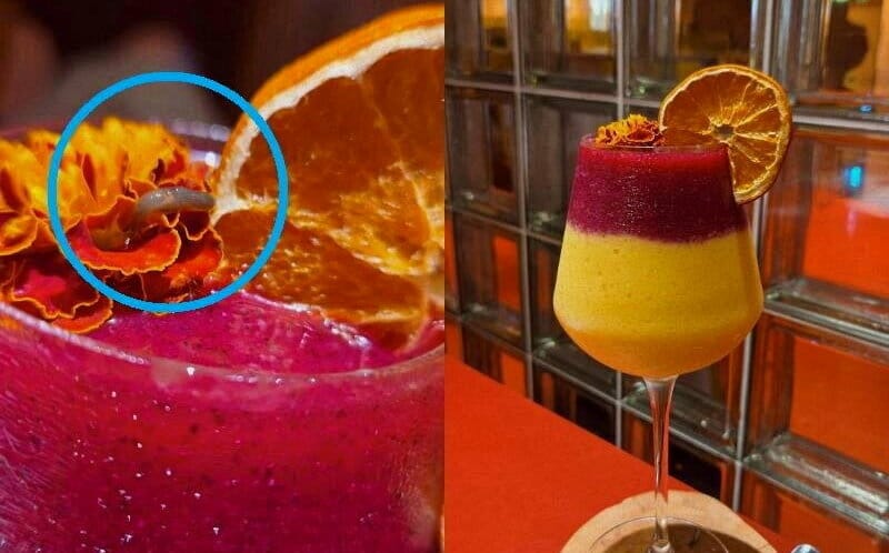 飲料上蛞蝓「觸角還在動」！台中餐酒館店員竟稱正常 業者道歉了