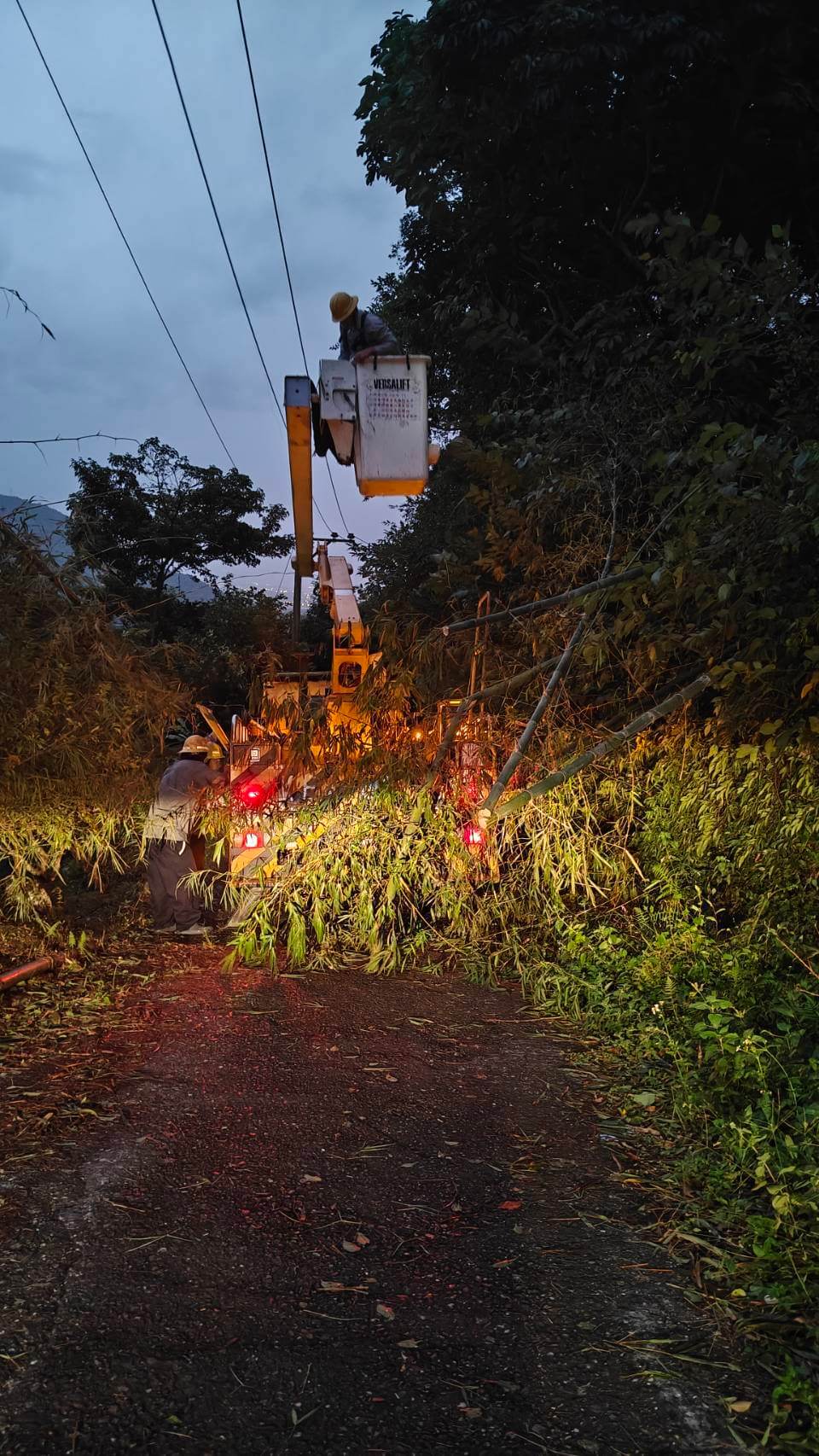 台電員工於花蓮縣秀林鄉進行樹竹清除作業。 圖：台電提供