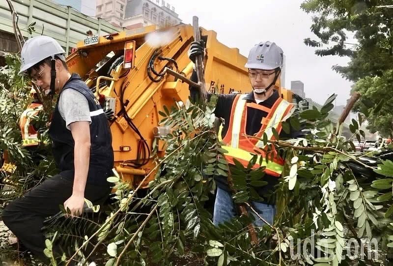 國民黨立委王鴻薇分享台北市長蔣萬安視察期間，協助動手清理路樹的照片。 圖：擷取自王鴻薇臉書