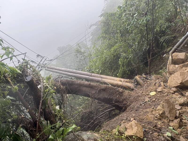 南投縣境多處樹木倒塌折損阻斷道路壓壞線路，台電搶修復電進度受阻。 圖：台電南投區處提供