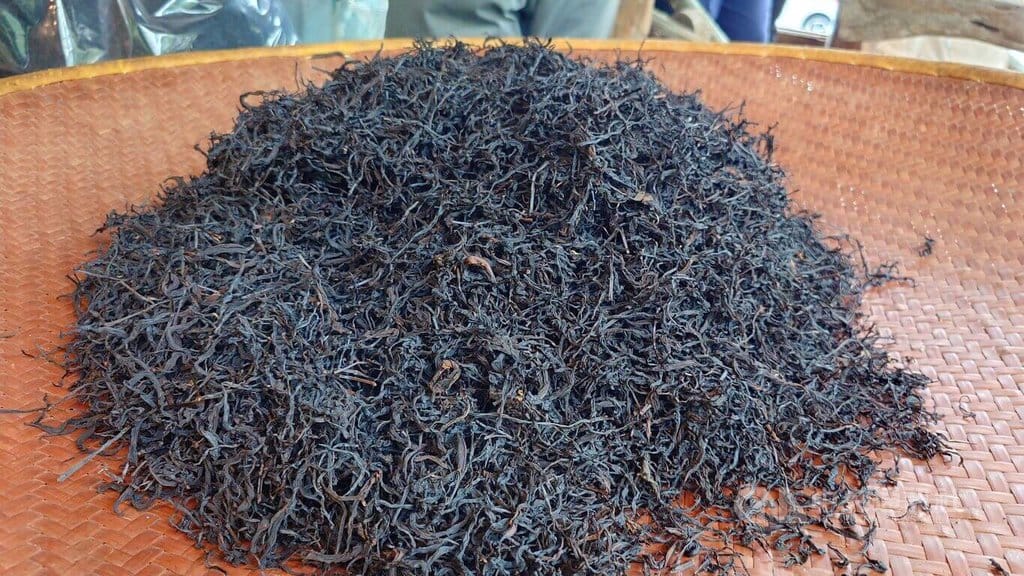 嘉義梅山瑞峰茶農產製的山茶，雖外觀黝黑，但沖泡後茶水口感溫潤甘甜。中央社記者蔡智明攝　115年10月30日