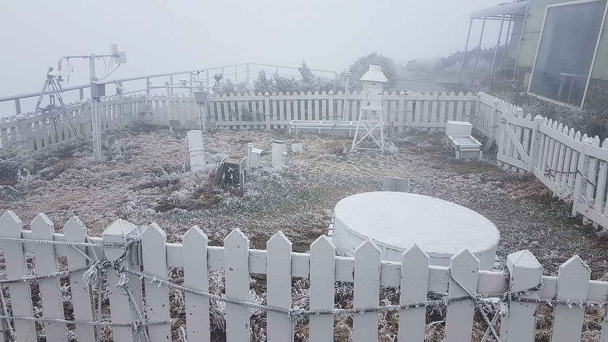 不少追雪族衝上山享受白色世界。 圖：中央氣象局提供