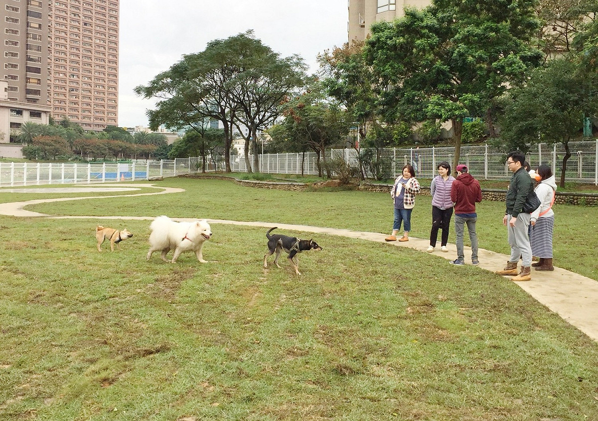 桃園市府也將設置寵物公園，讓人跟動物更友善相處，使桃園成為「動物友善城市」。 圖：桃園市政府／提供