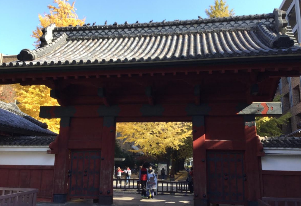 東京大學的赤門也是中國留學生想擠進去的窄門。 圖：劉黎兒/攝影