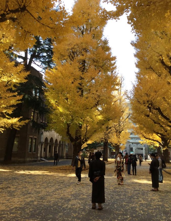 幾名中國留學生裝扮成明治時代書生在東大銀杏樹下拍照。 圖：劉黎兒/攝影