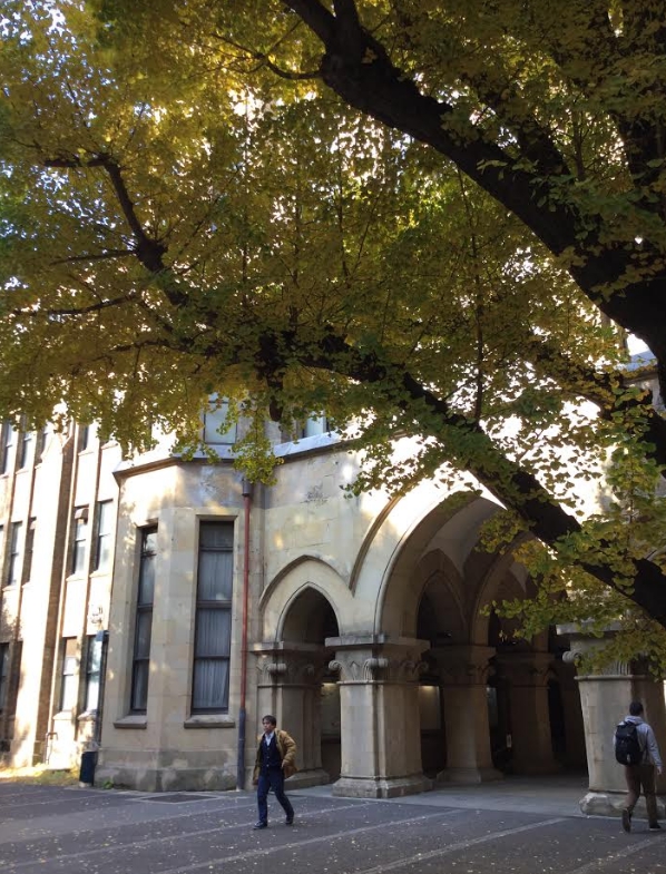 東京大學有一千多位中國大陸留學生。 圖：劉黎兒/攝影