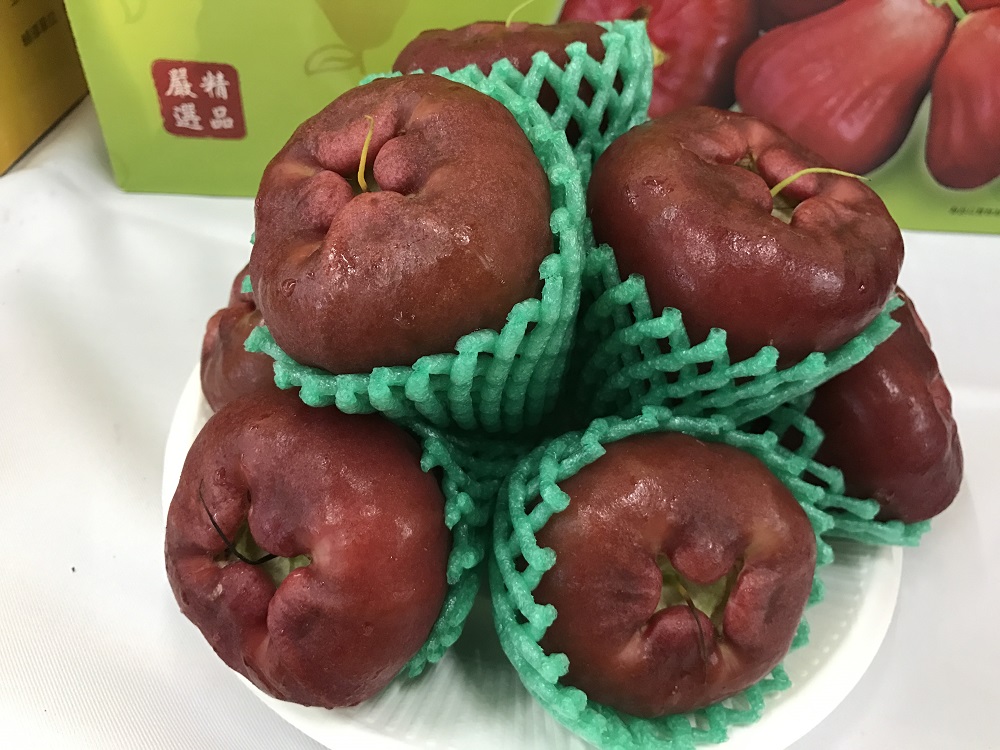 想吃屏東蓮霧、蜜棗不用去屏東，在台北就吃得到！圖為屏東蓮霧資料照。 圖：屏東縣政府提供