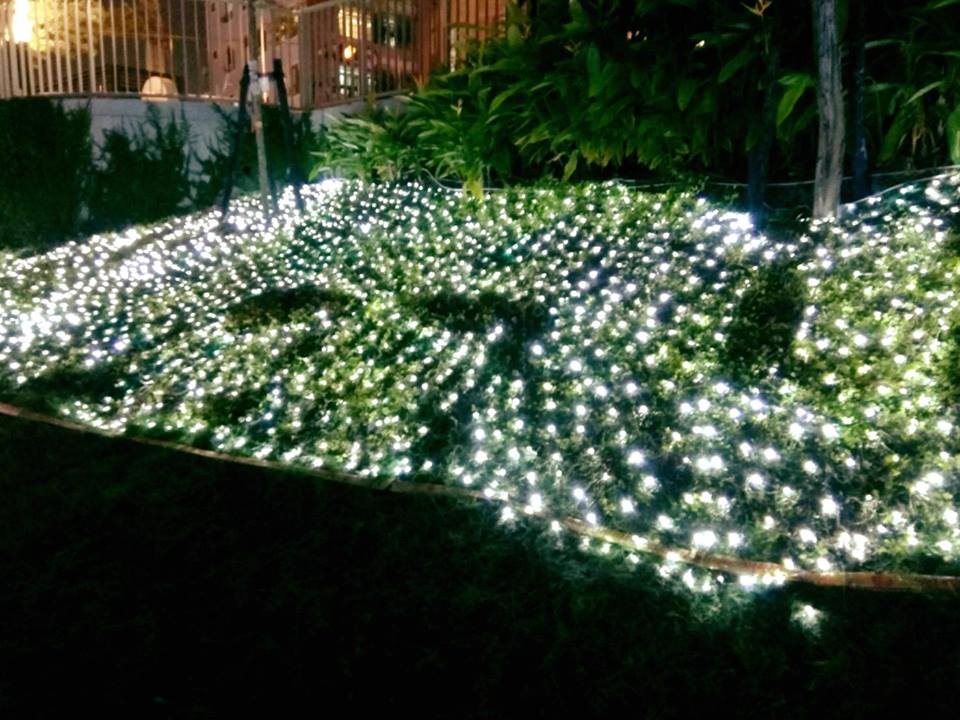 柳川光景藝術展出現因民眾拍照踩踏造成多處燈景損壞 圖 : 台中市政府水利局 / 提供