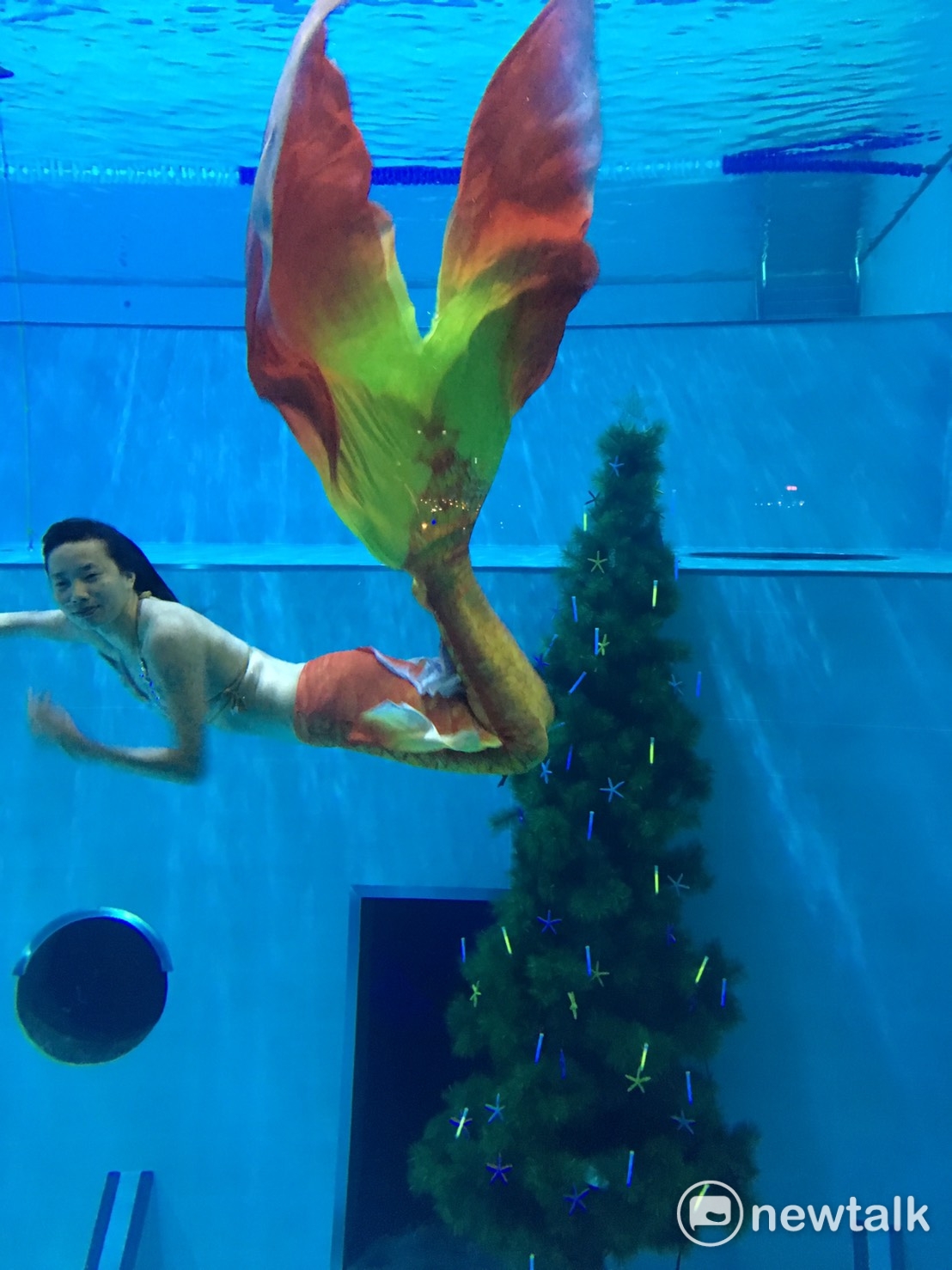 台中市的潛水旅館潛立方旅店在10米深的泳池中，裝置一顆4.5米高的巨大耶誕樹，除了有美人魚潛入水中漫游，還有應景的耶誕老公公、蜘蛛人，一起點燈。除了在昨(13)晚的點燈活動中，有彰化大同國中的田徑老師，身著美人魚裝入水外，還有多位潛水好手也一同共襄盛舉。 圖:王鵬宇/攝
