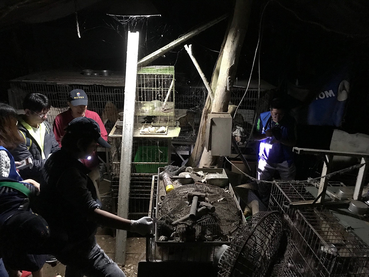 新北市動保處上月14日深夜，在三峽偏僻山區查獲一處大型的非法繁殖狗場，現場環境凌亂不堪。 圖 : 翻攝新北市動保處網站