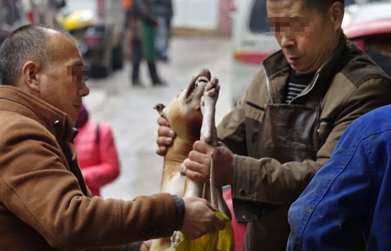 中國大陸部分地區仍有食用狗肉文化。此為狗肉販售示意圖。 圖 : 翻攝中新社