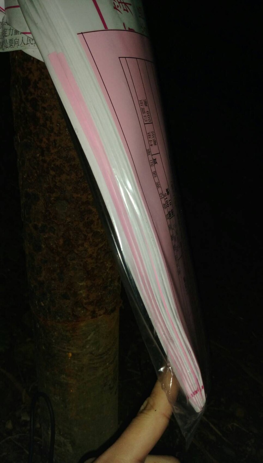 安定力量昨天深夜在汐止白雲里一處電線桿，找到整疊綁在電線桿的投票通知單。 （安定力量提供）