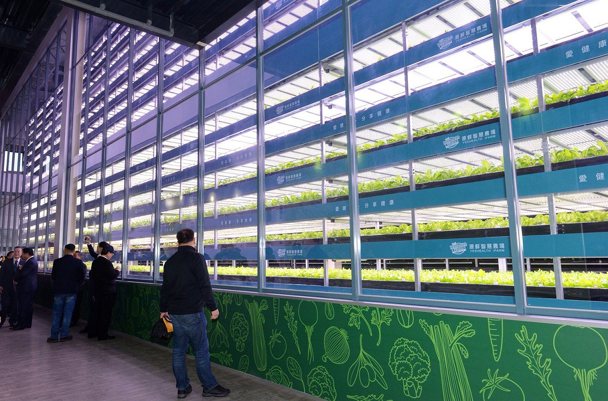 源鮮智慧農場蔬菜量產種類超過30種，每天可以生產400公斤，未來將達到生產超過100種、每日產量1萬2,000噸至1萬6,000噸，相當於10公頃土地生產量，大幅提升土地的利用效率。 圖：桃園市政府/提供