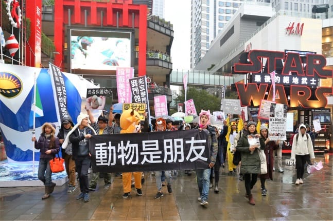 在寒冷的星期天下午，上百人不畏寒風細雨，參加在信義區舉行的「為愛發生—動物遊行」，這是台灣首次為動物權舉辦的遊行活動。 圖：純素30天/提供