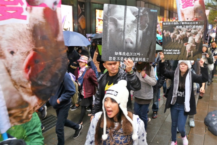 參加者沿路高喊「動物不是貂皮大衣、不是名牌包、不是食物、不是實驗品，動物是朋友！」，呼籲民眾重視動物權，一起來吃素。 圖：純素30天/提供