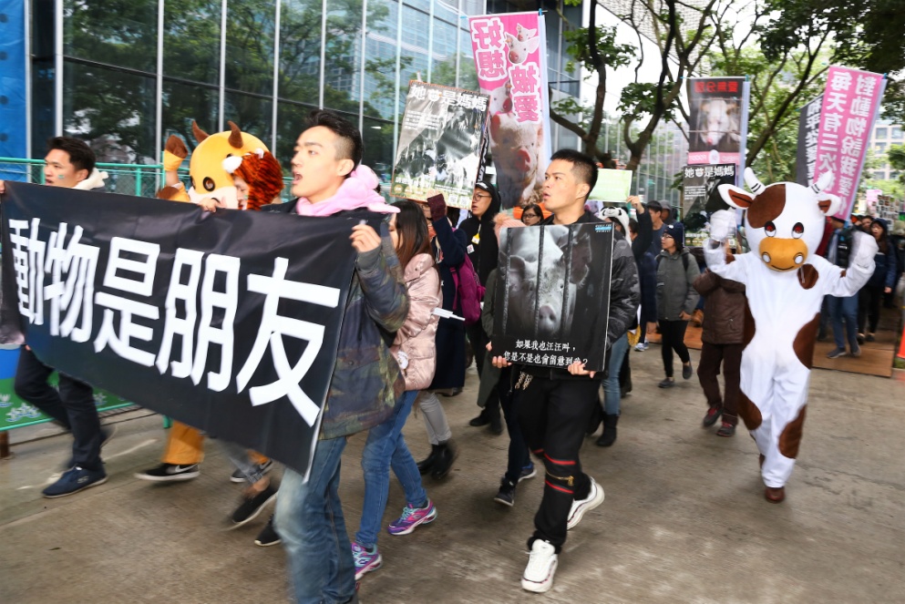 一群愛護動物的年輕人，不畏寒流細雨走上街頭。 圖：純素30天/提供