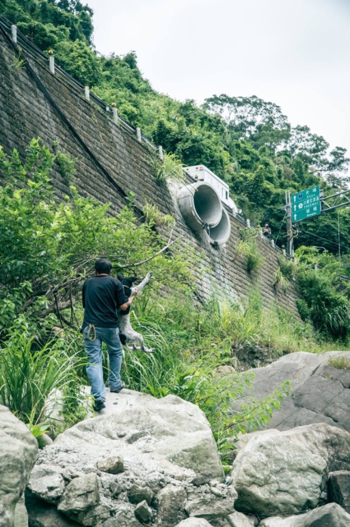 動保員為了救援動物翻山越嶺。 圖:新北市動保處網站/翻攝