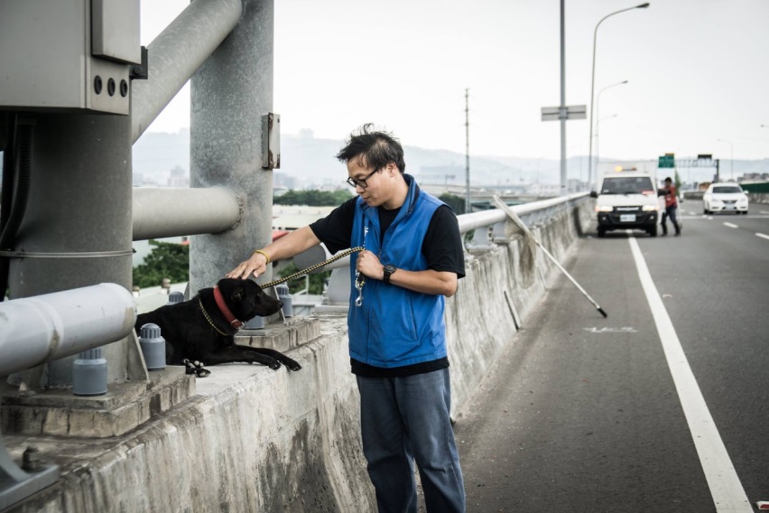 動保員成功救出誤闖快速道路的毛寶貝。 圖:新北市動保處網站/翻攝