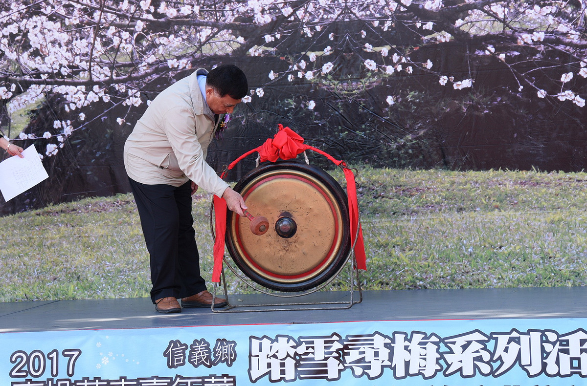 信義鄉花卉嘉年華，踏雪尋梅系列活動今(23)日正式開鑼。 圖：南投縣政府/提供
