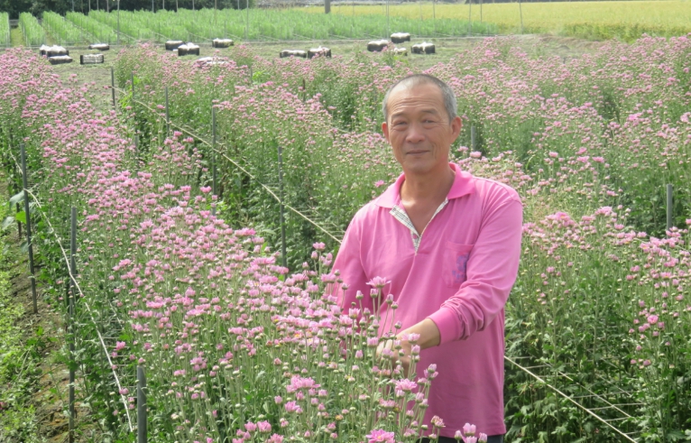 張慈閔種植花卉全採露天栽種，一半花卉一半水稻，他對友善農地有一套作法。 圖：台中市政府/提供