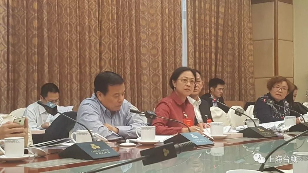 中國涉台組織「全國台聯」今(25)天改選幹部，台灣出生的中共19大代表、上海市台聯會長盧麗安（紅衣者）被推選為全國台聯副會長。 圖：取自上海台聯微信
