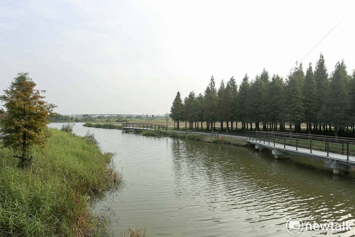 「菁埔埤」是國家保育溼地，埤塘與周邊有落羽松形成水岸之美。 圖 : 張大魯/攝