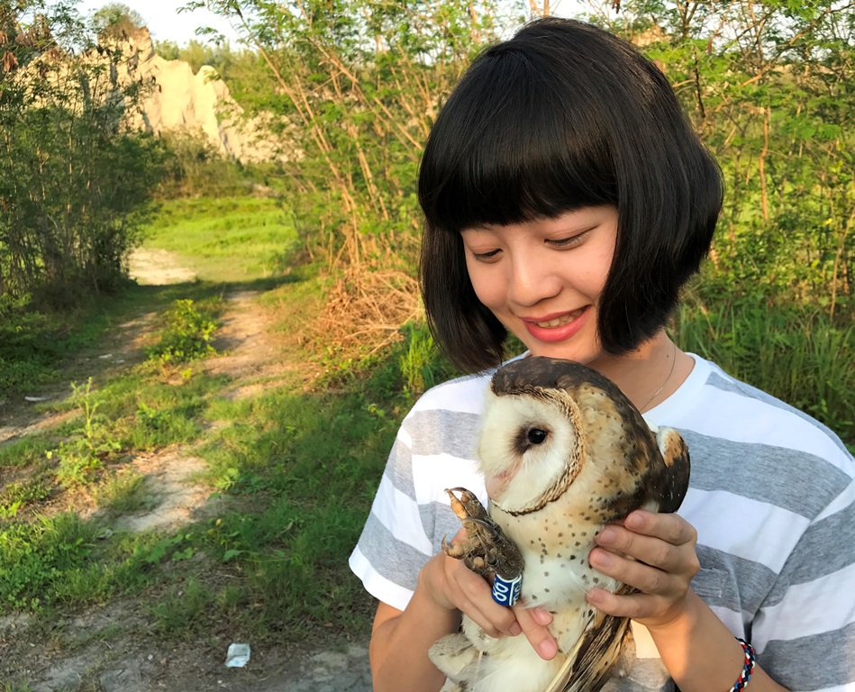 東方草鴞。 圖：林務局/提供