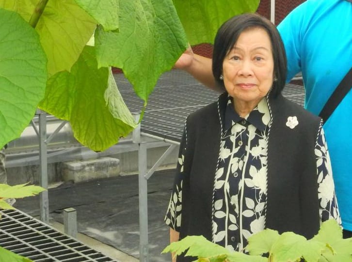 婦聯會去年底同意與內政部和黨產會簽署行政契約，但外傳遭內政部解除婦聯會主委職務的辜嚴倬雲企圖翻案。辜嚴倬雲今天表示，她是反對和內政部及黨產會做不清不楚的和解。 圖：翻攝自辜嚴倬雲植物保種中心（資料照片）