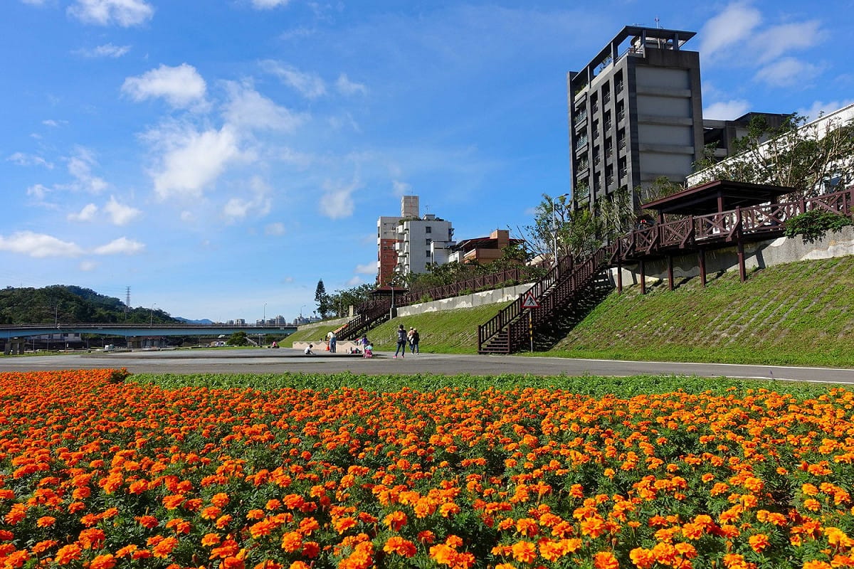 道南河濱花海。 圖：台北市政府提供